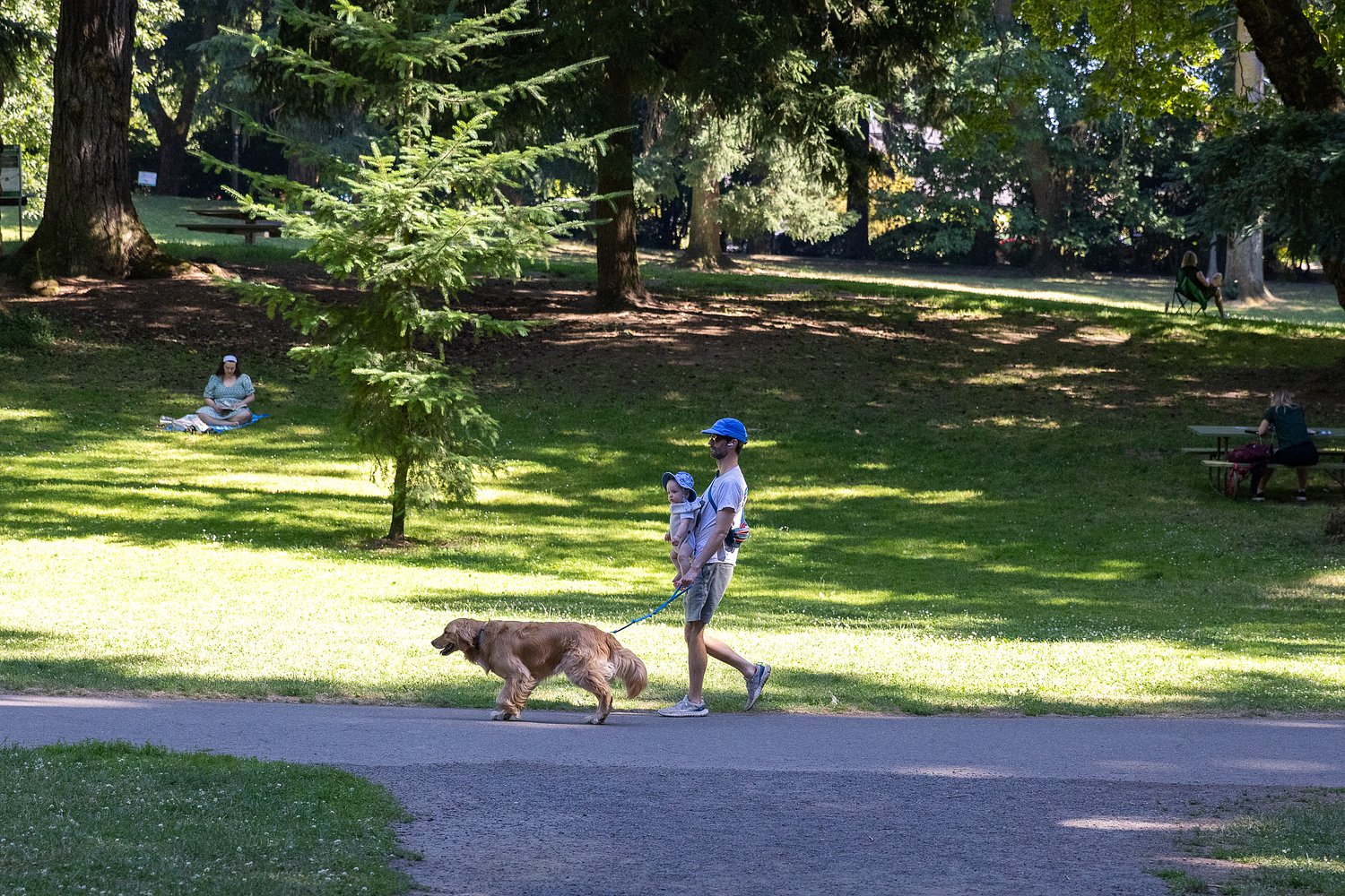 Portland extends its run of sunny, warm weather Thursday; high 87