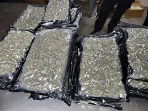 Smugglers caught trying to disguise 1,600 pounds of marijuana as chocolate at Upstate NY border