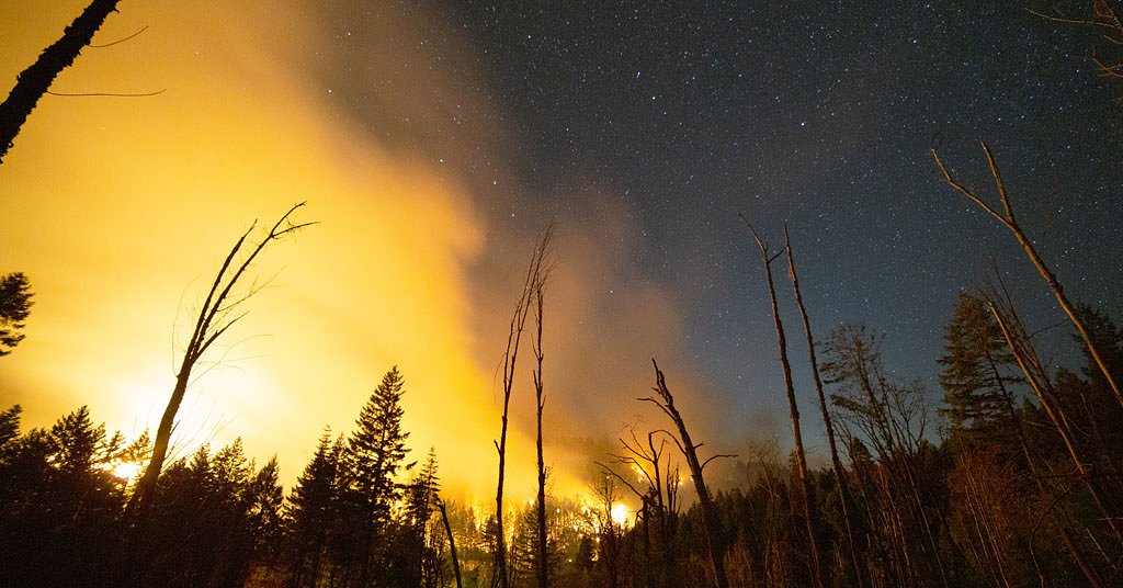 Elemental: The wildfire film everyone needs to see … and understand