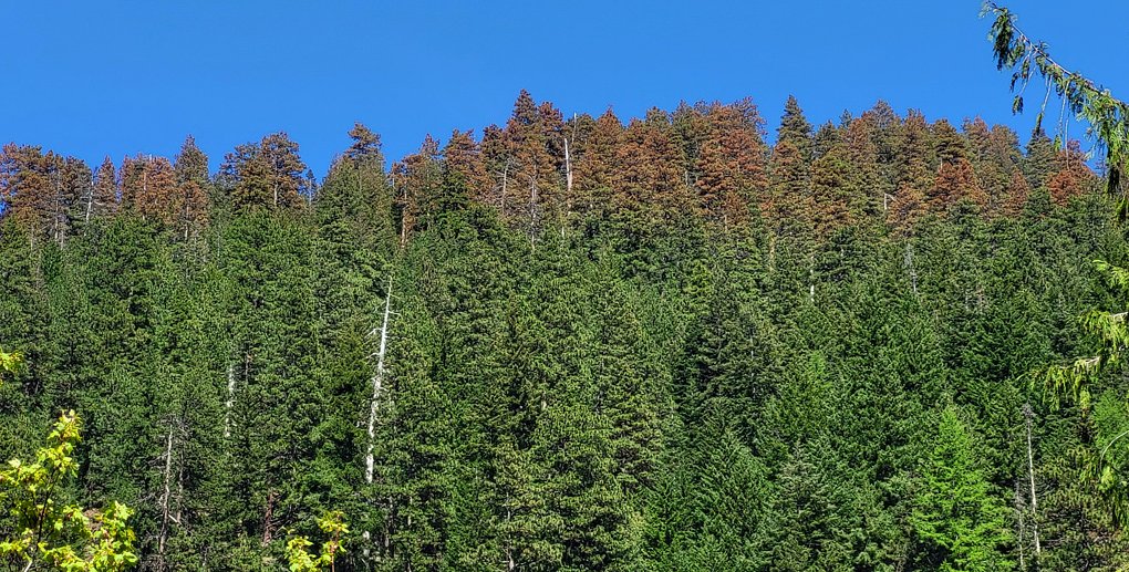 4 ways the Columbia River Gorge is being impacted by climate change