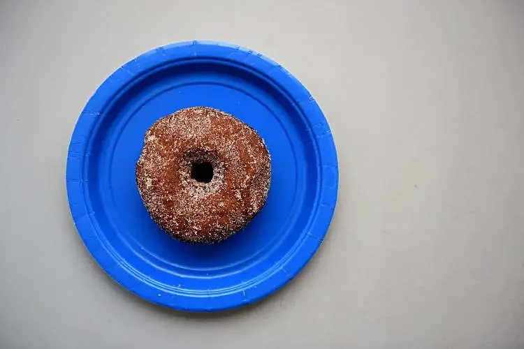 Elementary school students propose official NH state doughnut