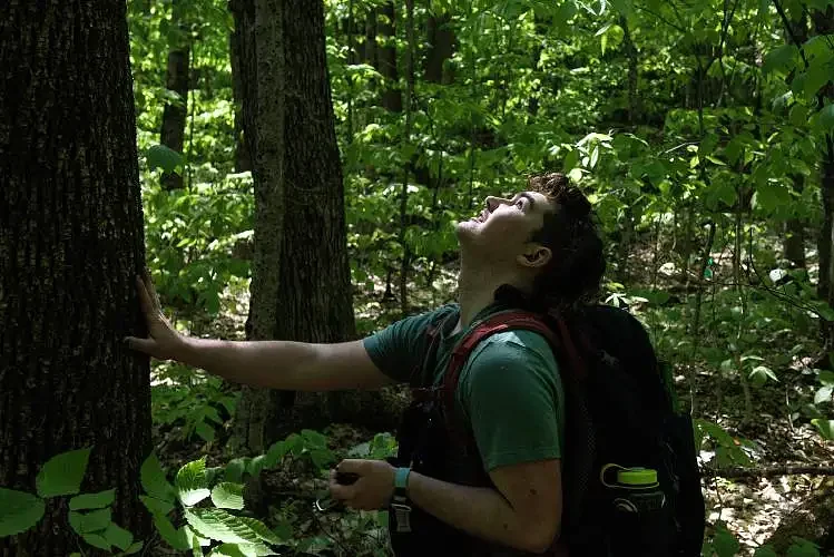 Hubbard Brook Experimental Forest to remain open, USDA to 'reexamine' plans to close Bartlett research facility