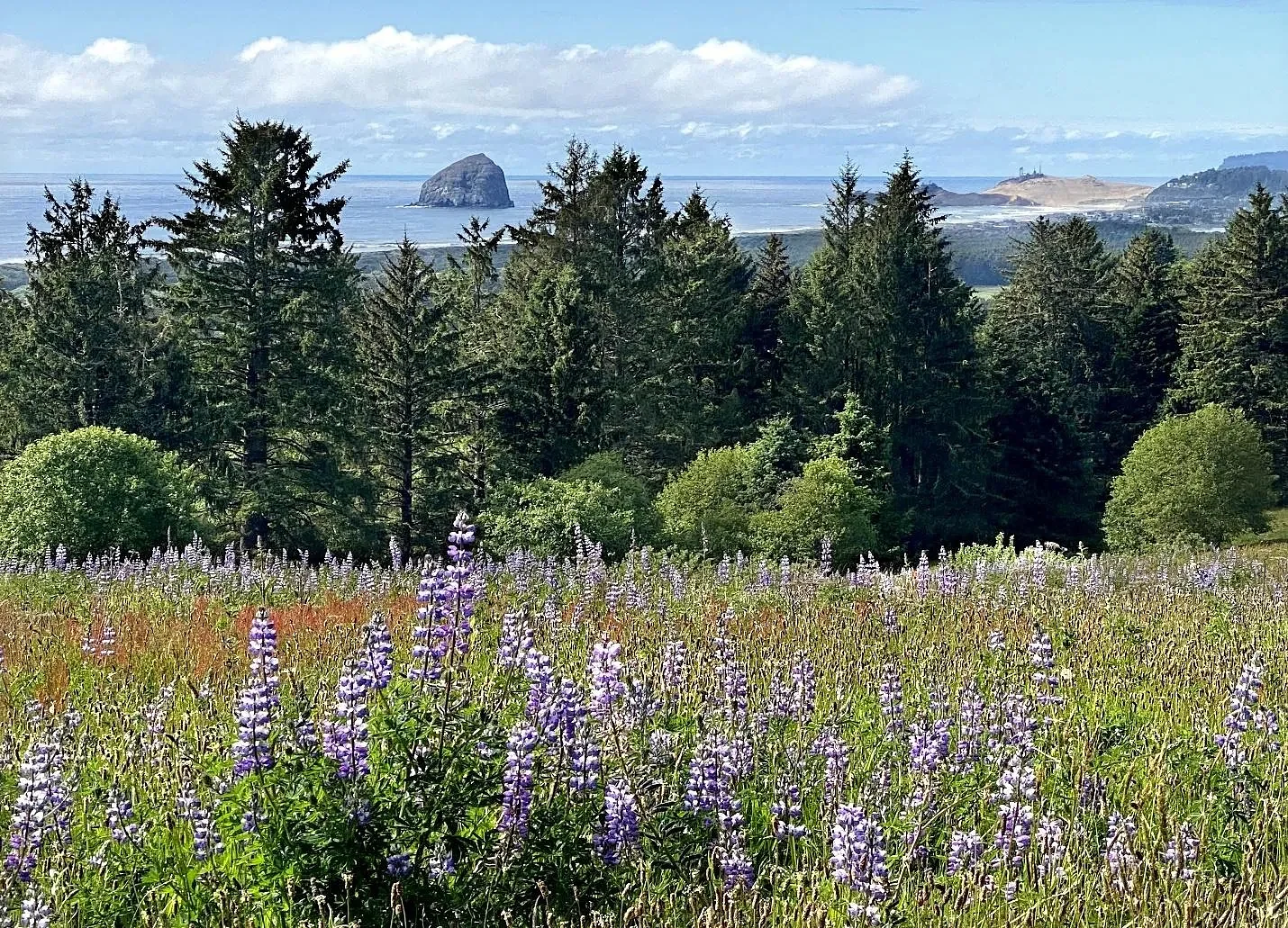 Hike at Nestucca Bay on northern coast is often overlooked — but worth a stop