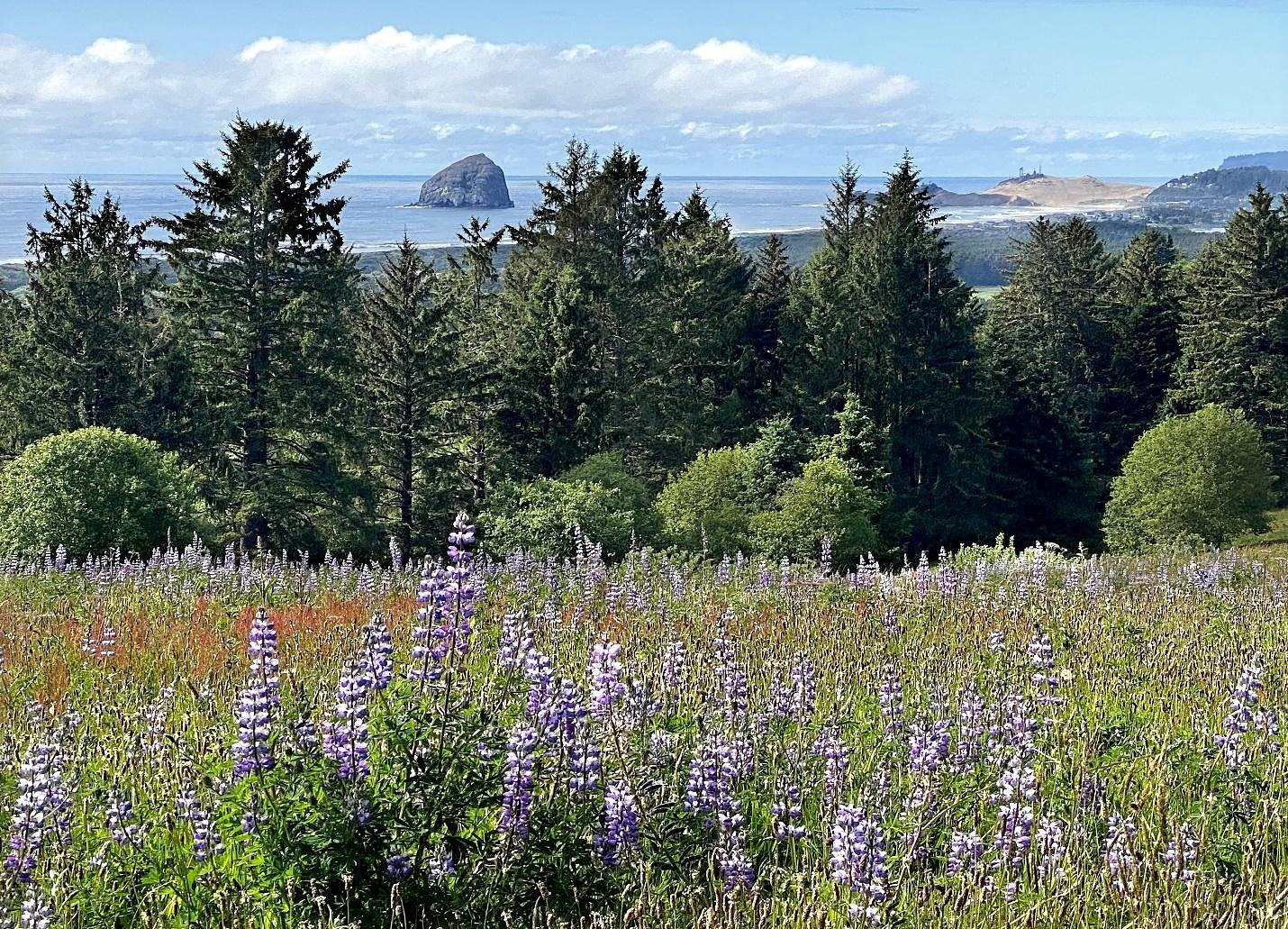 Hike at Nestucca Bay on northern coast is often overlooked — but worth a stop