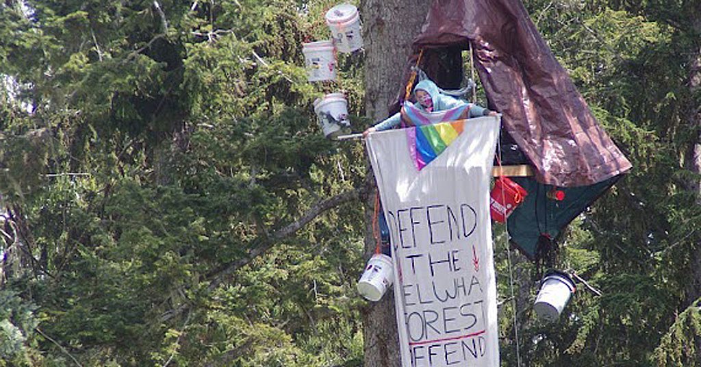 How long will the Olympic Peninsula tree-sit go on?