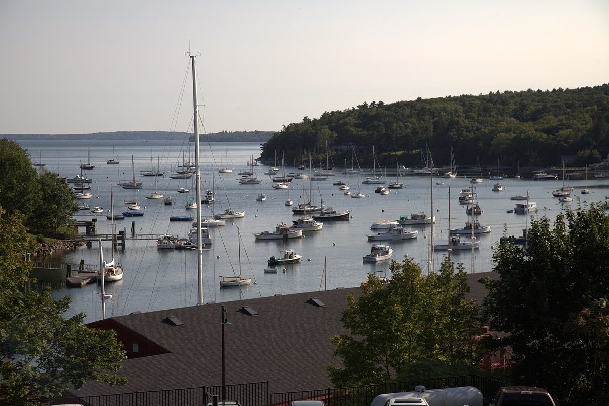 NY man fined $3K for allegedly poisoning his Maine neighbor’s trees