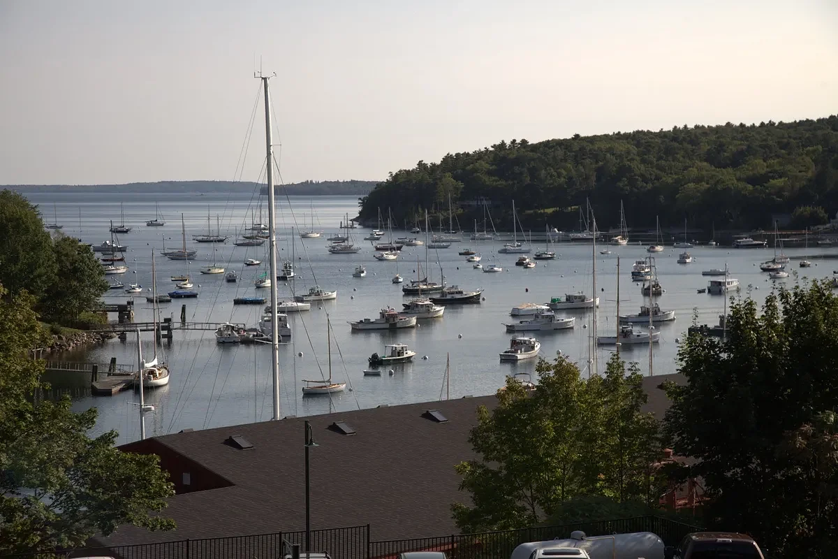 NY man fined $3K for allegedly poisoning his Maine neighbor’s trees