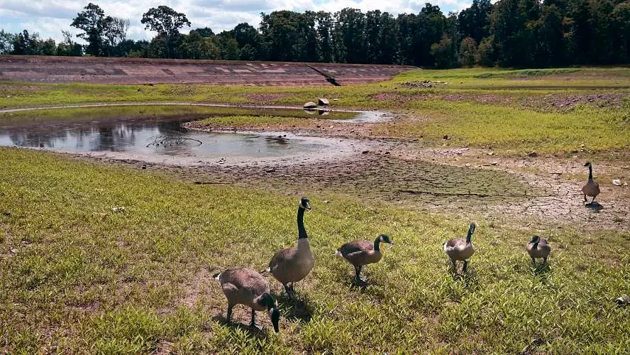 Severe drought hits New Hampshire, wells and streams drying up