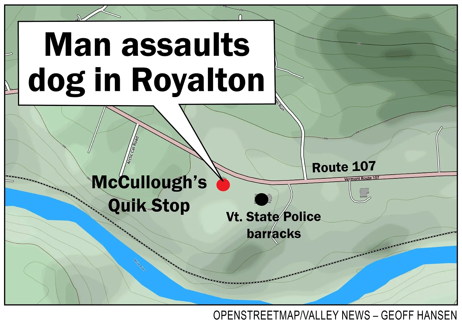 Bystanders in Royalton witness man beating husky, leading to animal cruelty charges