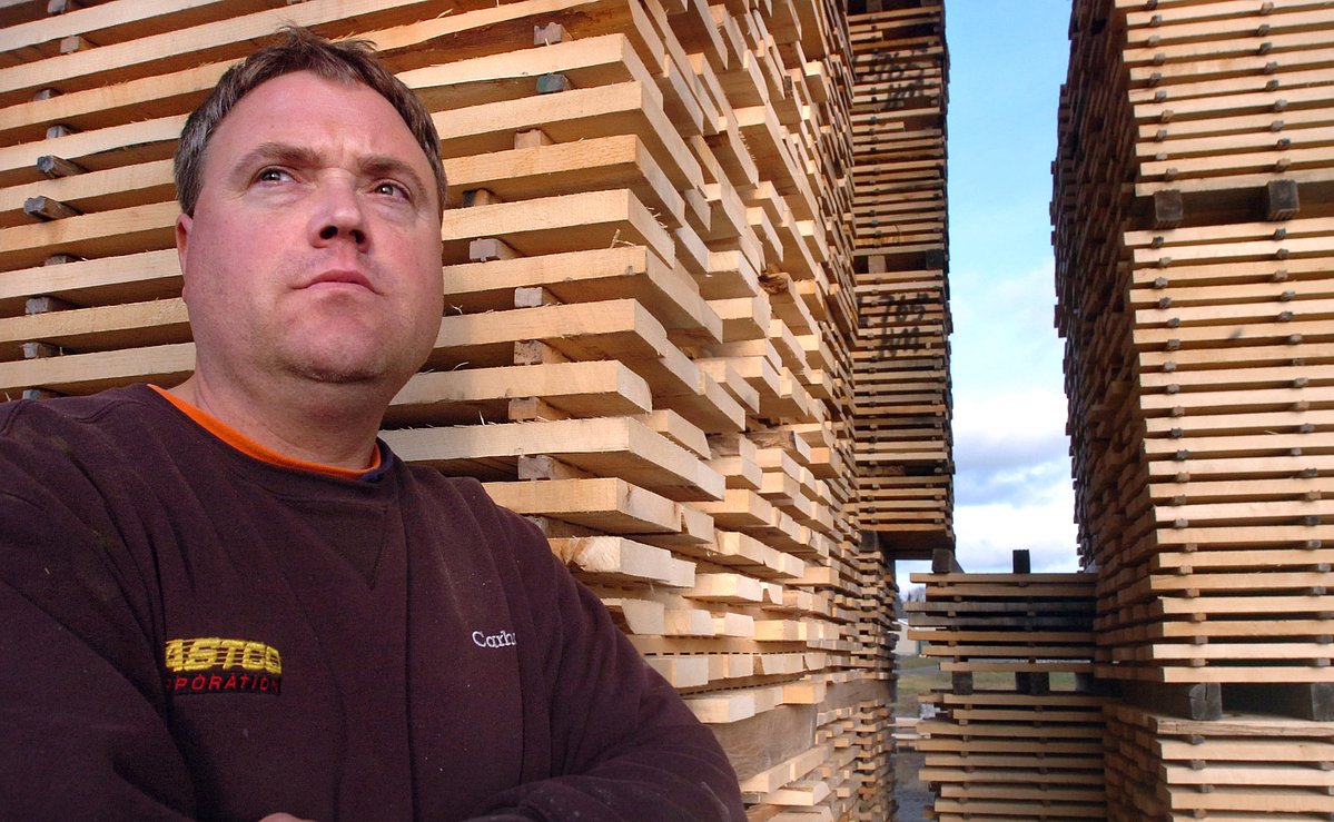 Milo sawmill will close this month due to rising costs, owner says