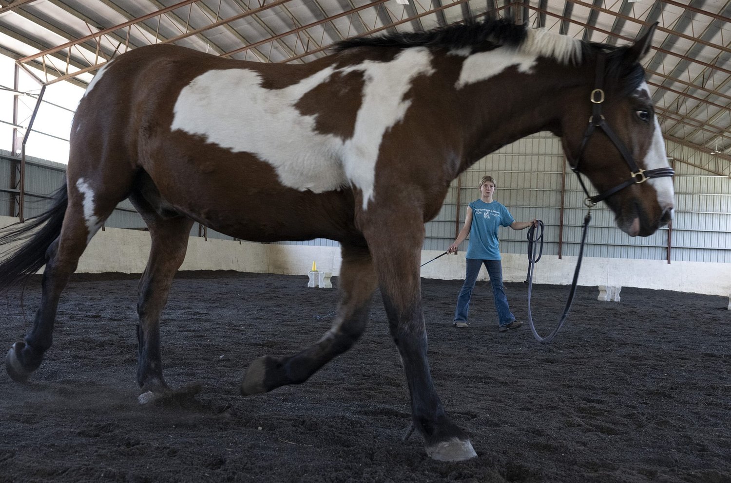 Built on second chances: Legacy Equine Center in Easthampton combines therapy and sanctuary