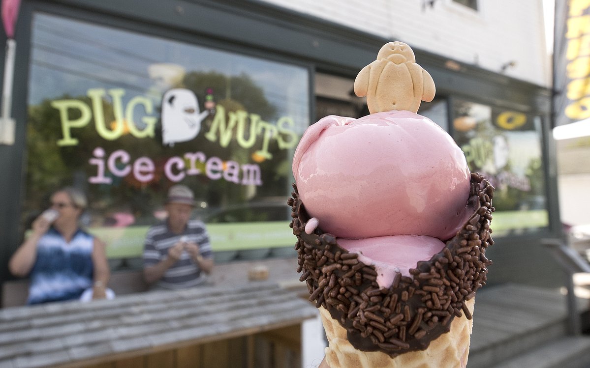 Closure of Surry ice cream shop among changes in Blue Hill-area dining scene