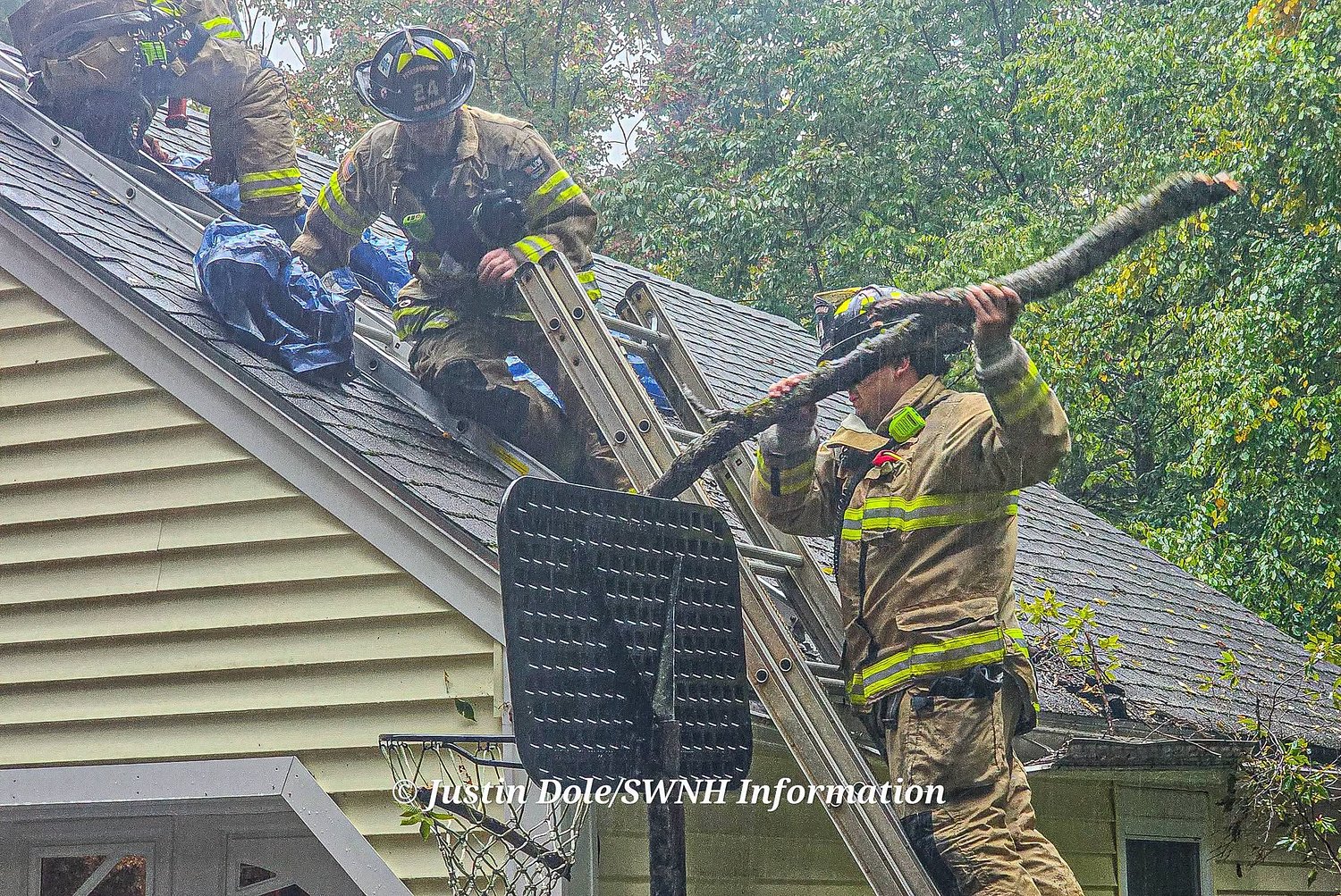 Tree falls onto Peterborough garage, causing minor roof damage