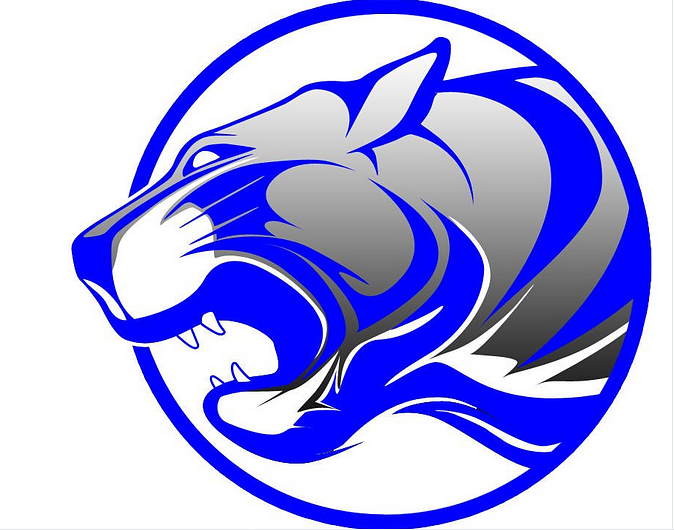 Princeton makes mistakes but still beats South Shore to advance in 3A playoffs