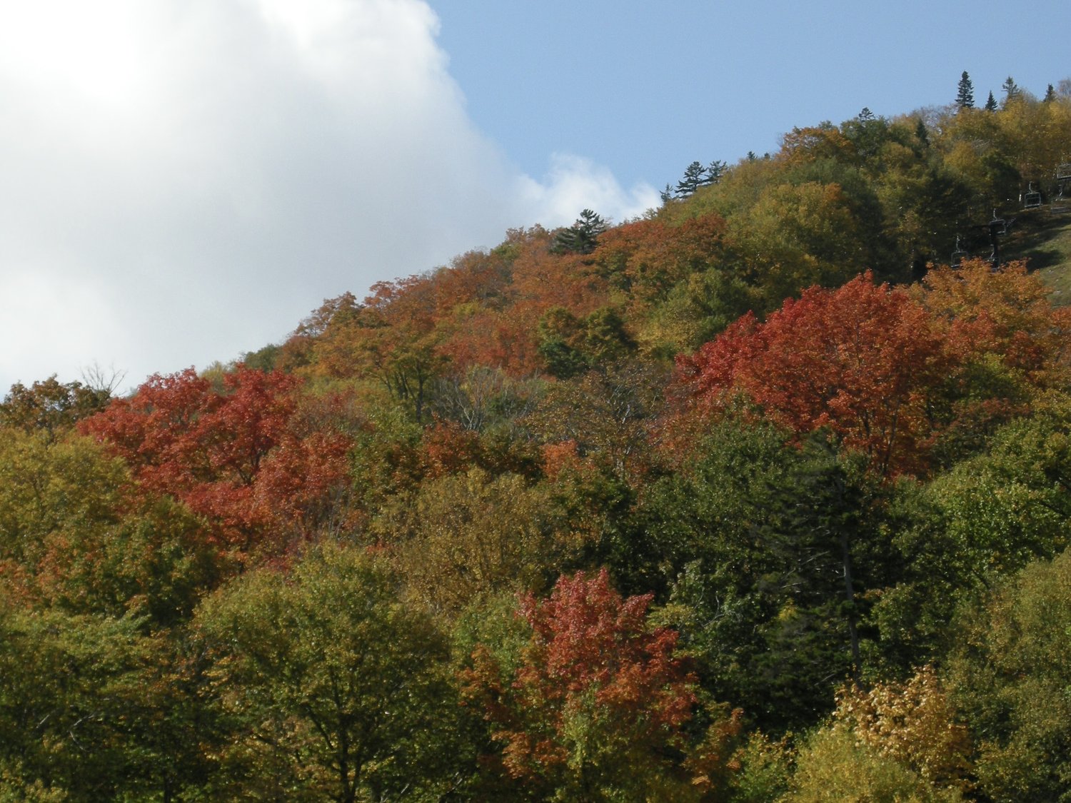Rain to follow sunny Friday and Saturday in Massachusetts