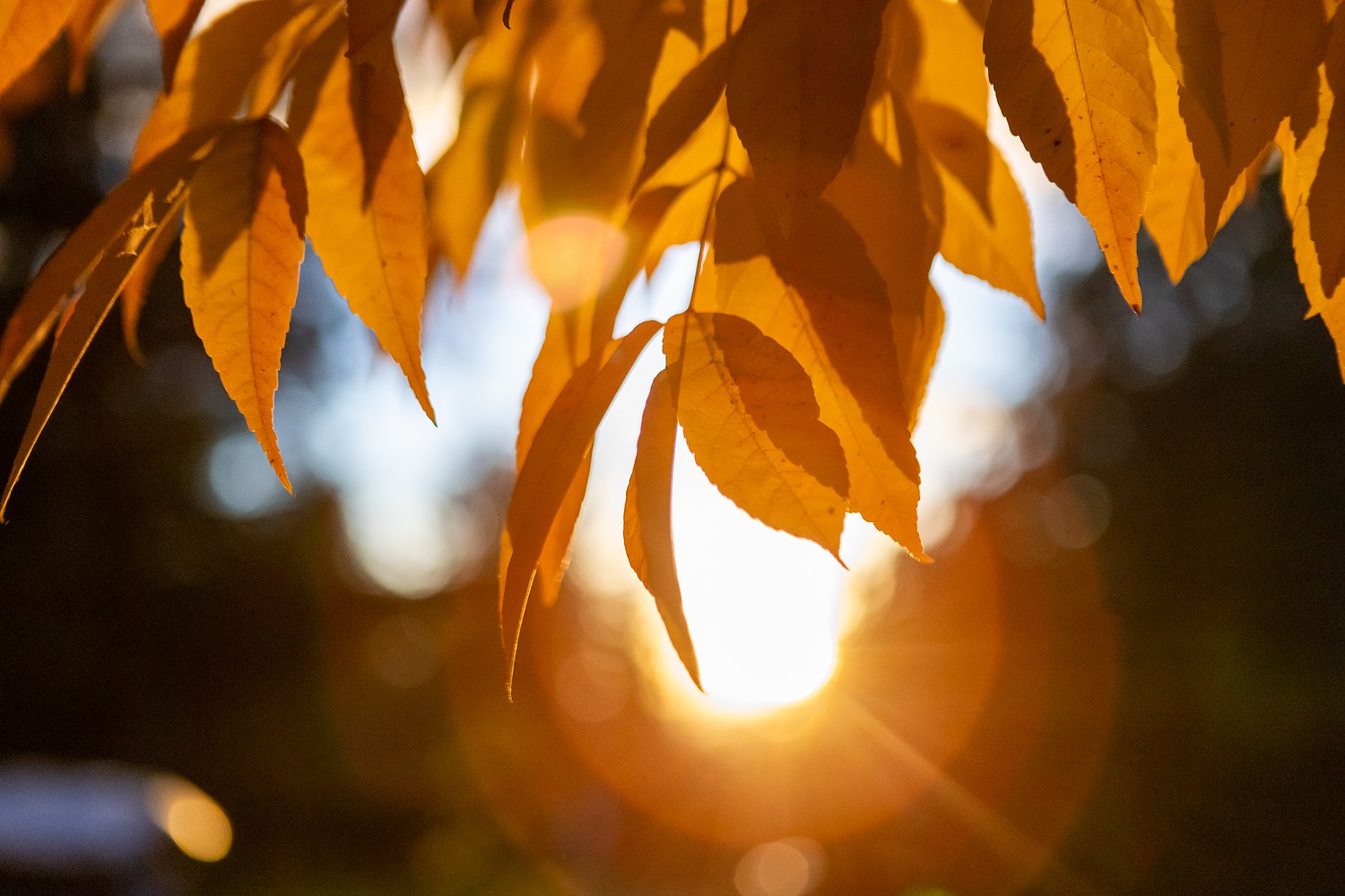When is the first day of fall this year? You have a couple choices