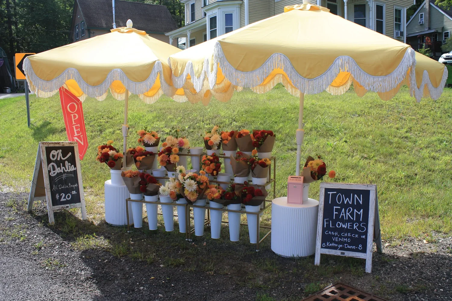 'Throw a little good out there': Dahlia flower stand brightens Chabot Way in Wilton