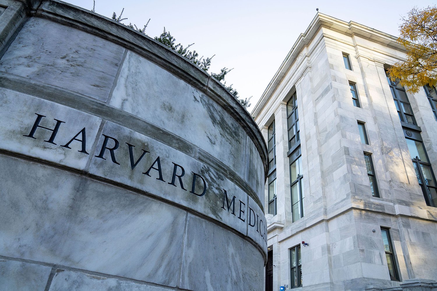 Harvard Medical School agrees to $53 million settlement in body parts case