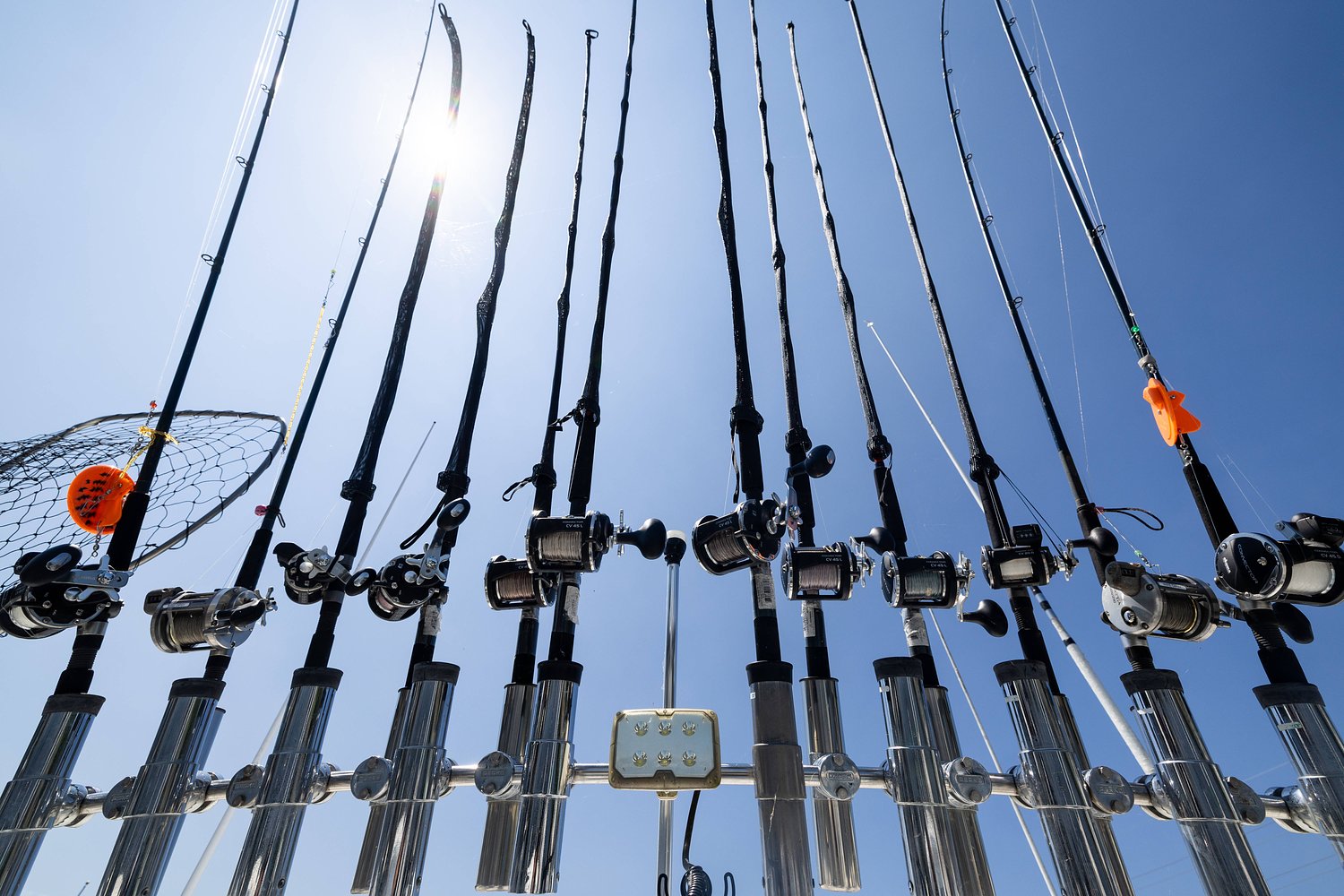 Fisherman makes rare catch of 151-pound fish, breaks record set in 2005