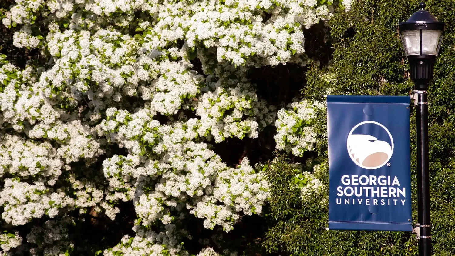 Georgia Southern pays $250,000 settlement over LGBTQ+ rights dismissal