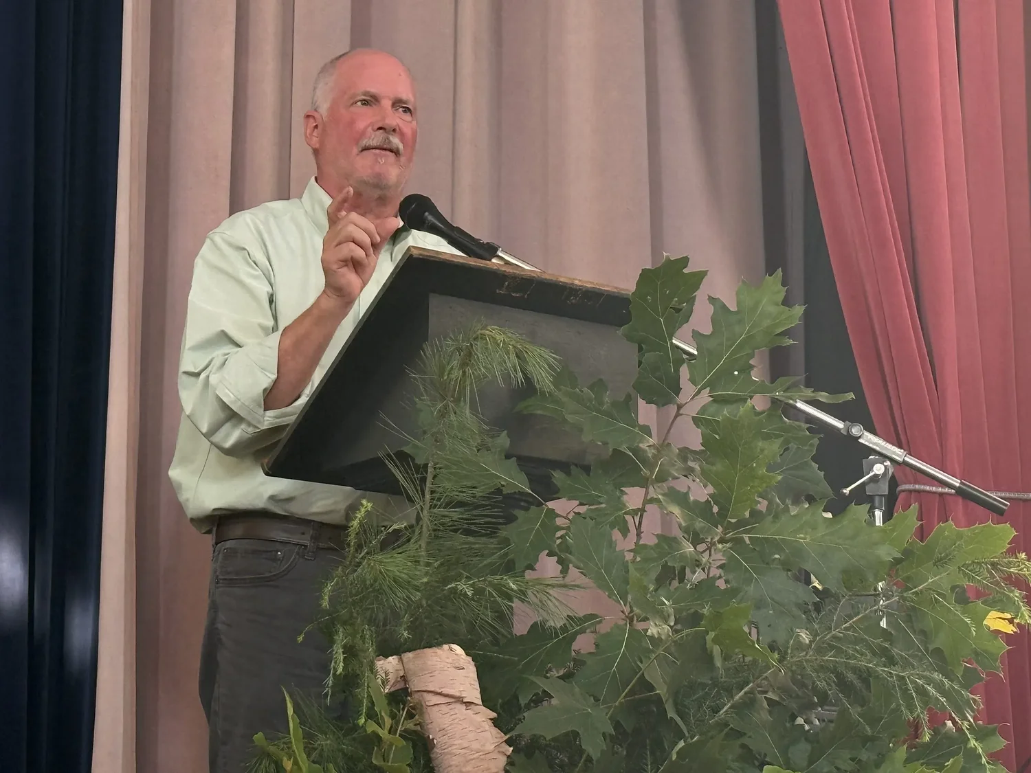 New Hampshire forests: A story of revival and the challenges ahead