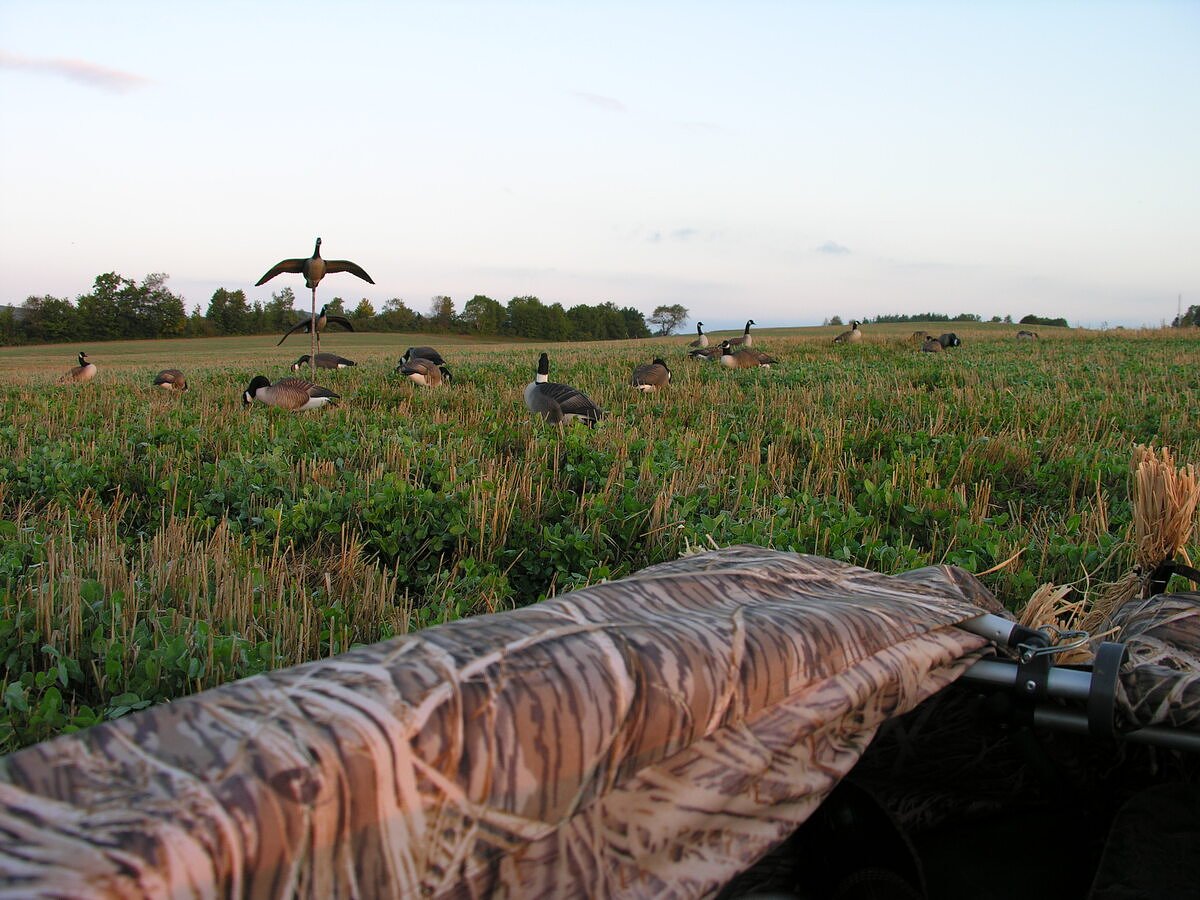 More hunters are discovering this Maine goose hunting hotspot