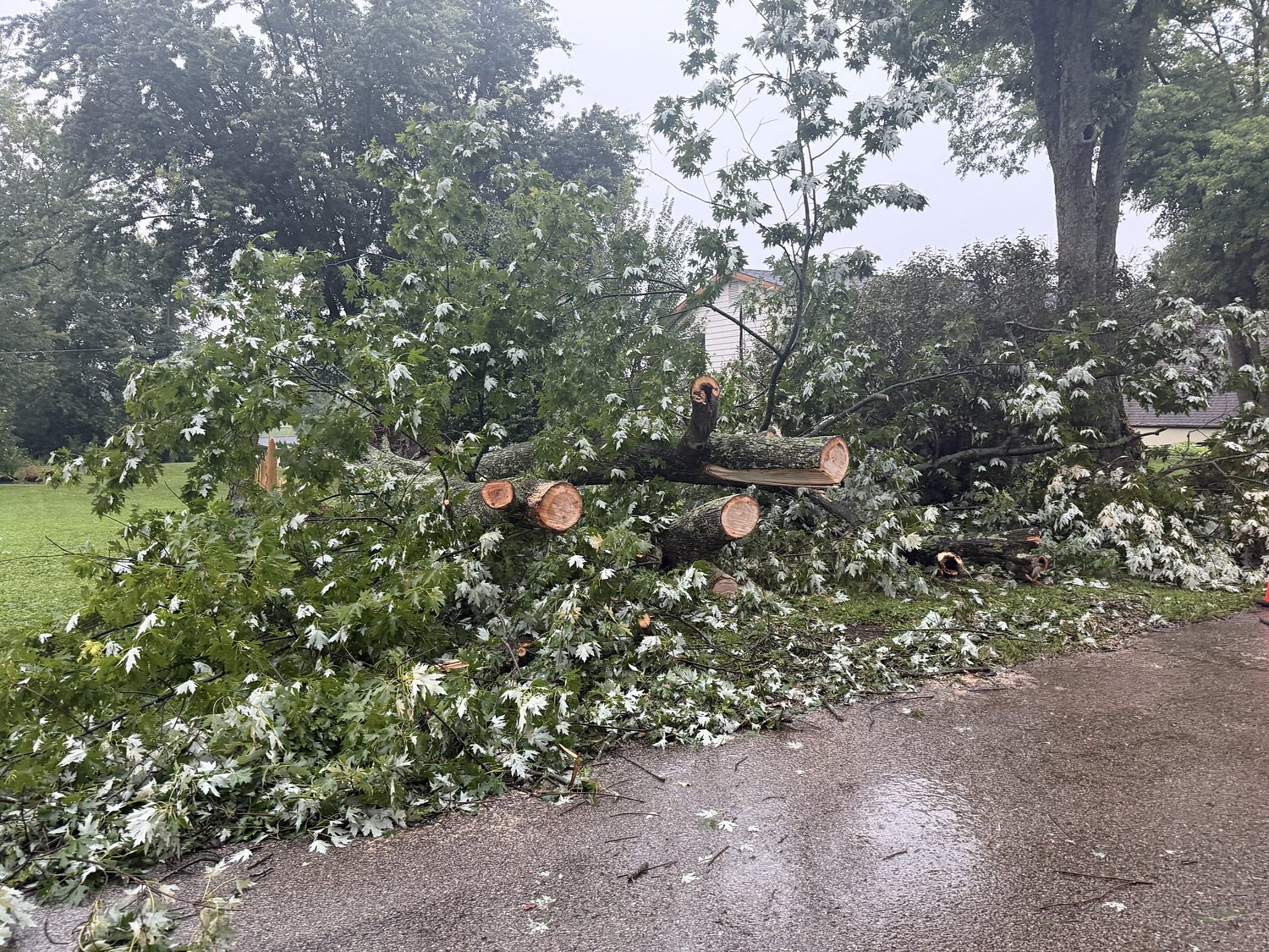 Newport provides storm debris cleanup update