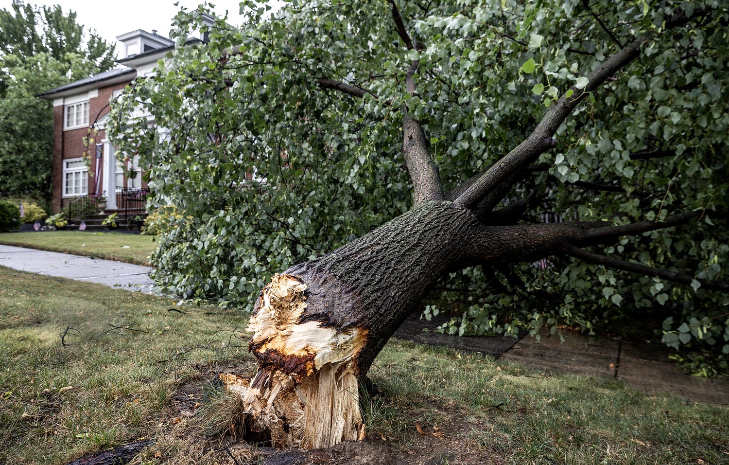 Coroner sent to Cumberland County campground after powerful storms down trees