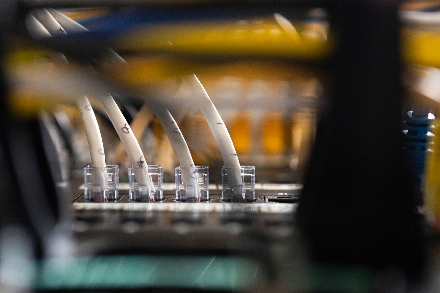 Businesses, governments scramble to patch security flaw affecting 70% of websites