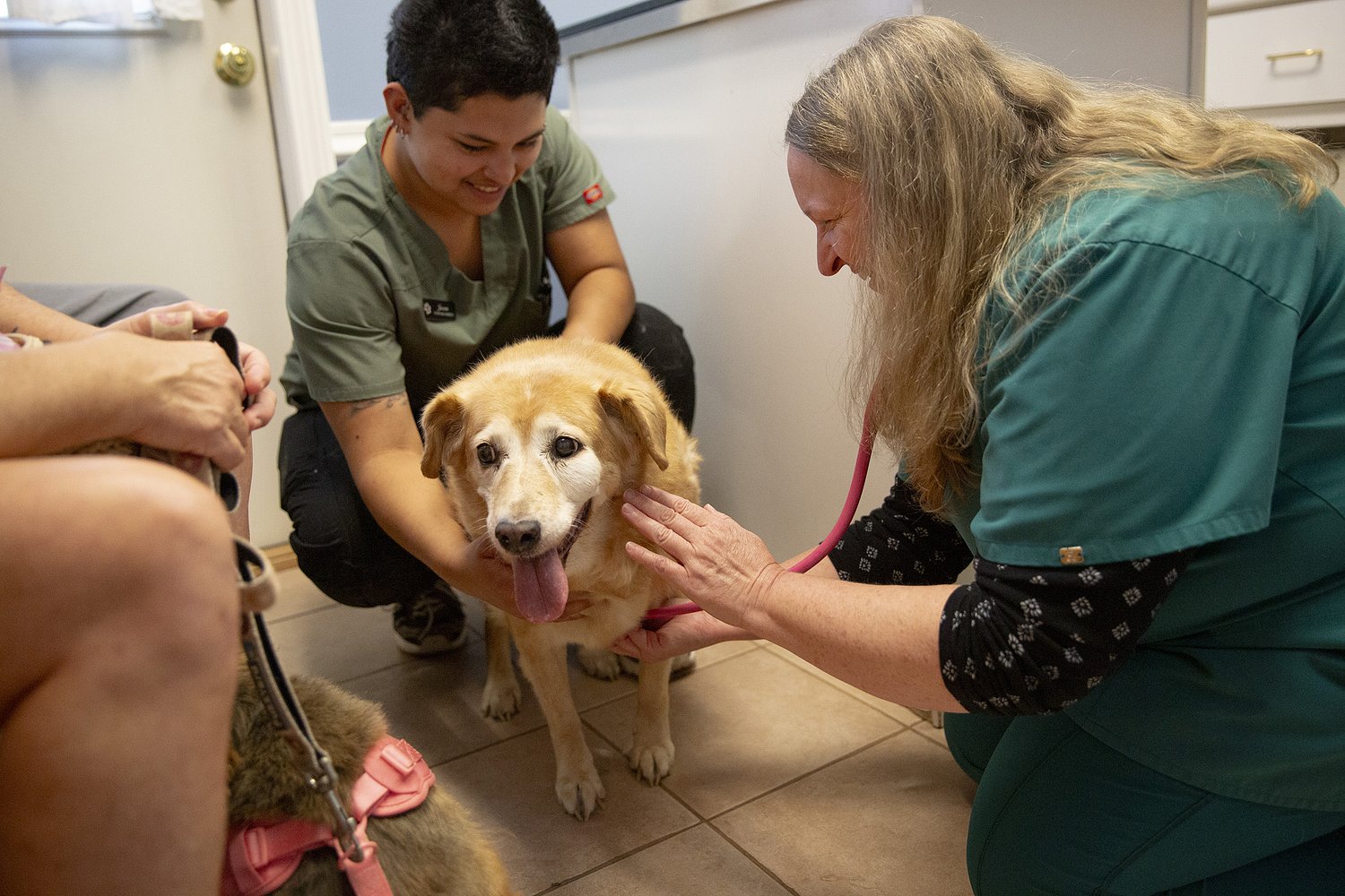 Rising vet costs leave Upper Valley pet owners and clinics struggling