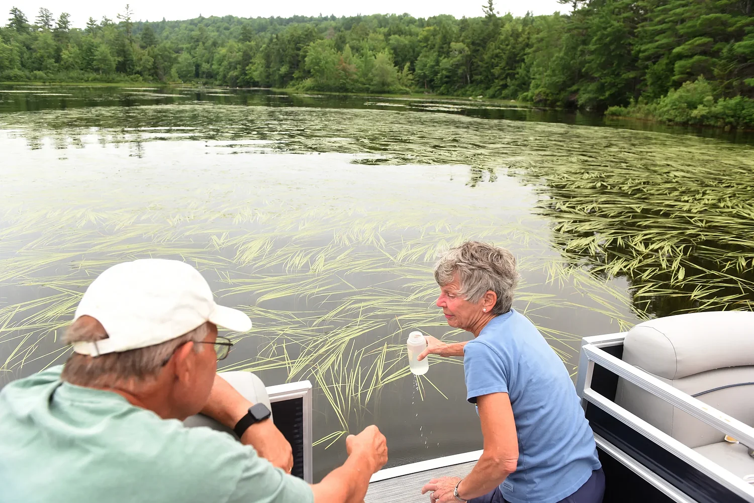 Tackling a ‘puzzling’ problem on Pleasant Lake