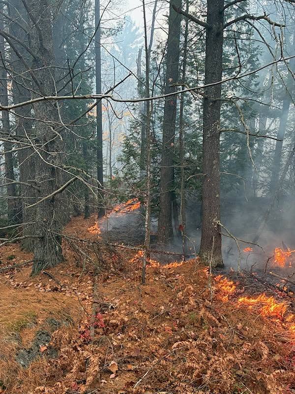 Craig Lake Fire in Michigan's U.P. sparked by lightning, DNR confirms