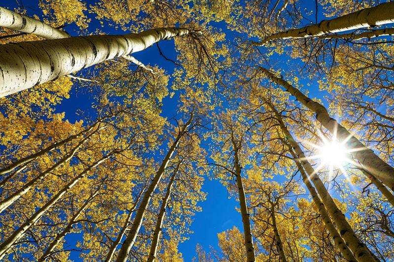 Day and night get equal billing on Tuesday. A guide to the fall equinox
