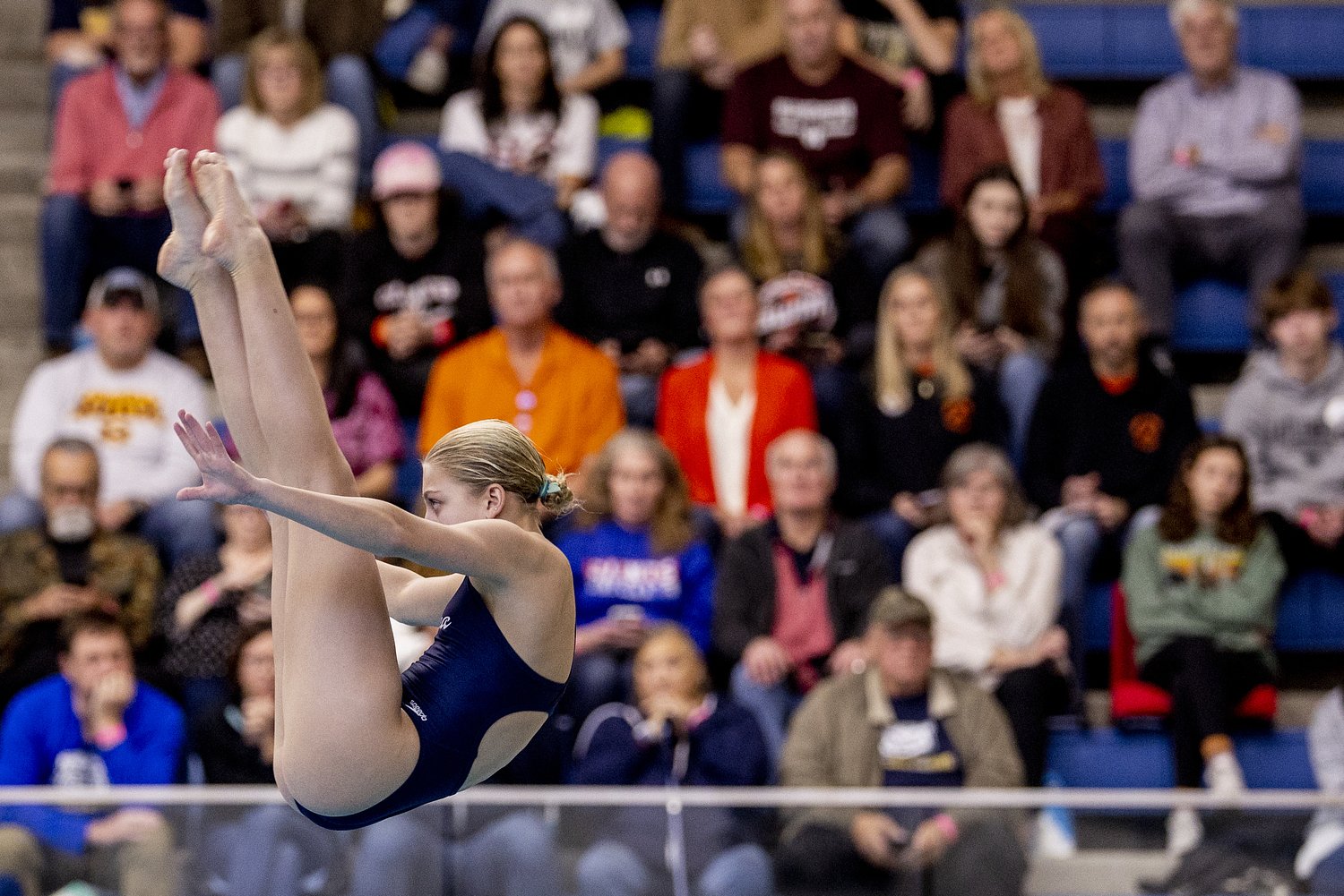 Decorated Chelsea diver voted top senior swimmer in Michigan