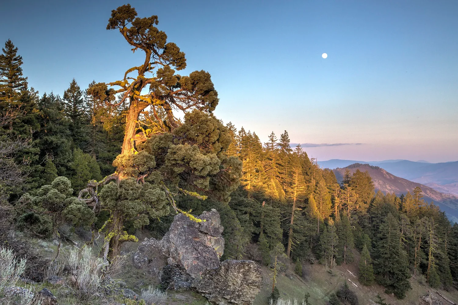 What Could Be Lost After Trump Rescinds Rule Protecting Public Lands