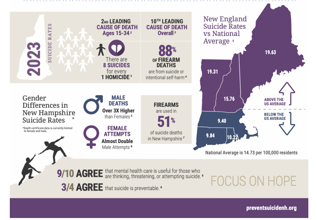 New Hampshire's suicide rate remains above national average