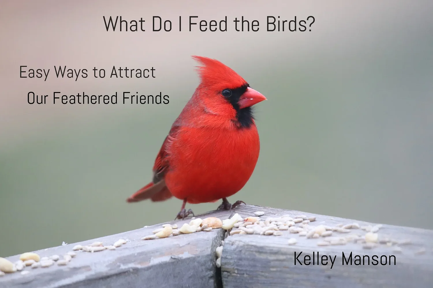 Book Review: ‘What Do I Feed the Birds?’: Bernardston author releases guide to attract feathered friends
