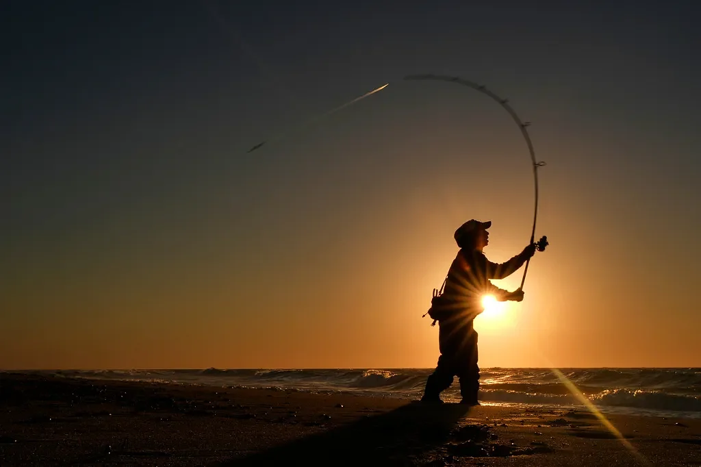 For many, striped bass fishing is a way of life. But the iconic species could face collapse