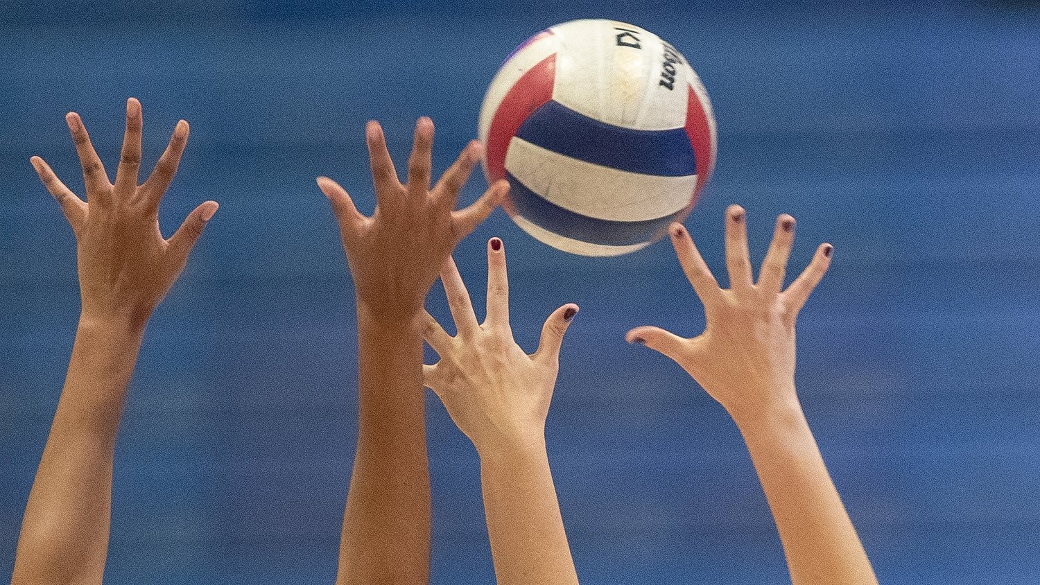 Title favorite, contenders, players to watch in South, Group 1 girls volleyball playoffs