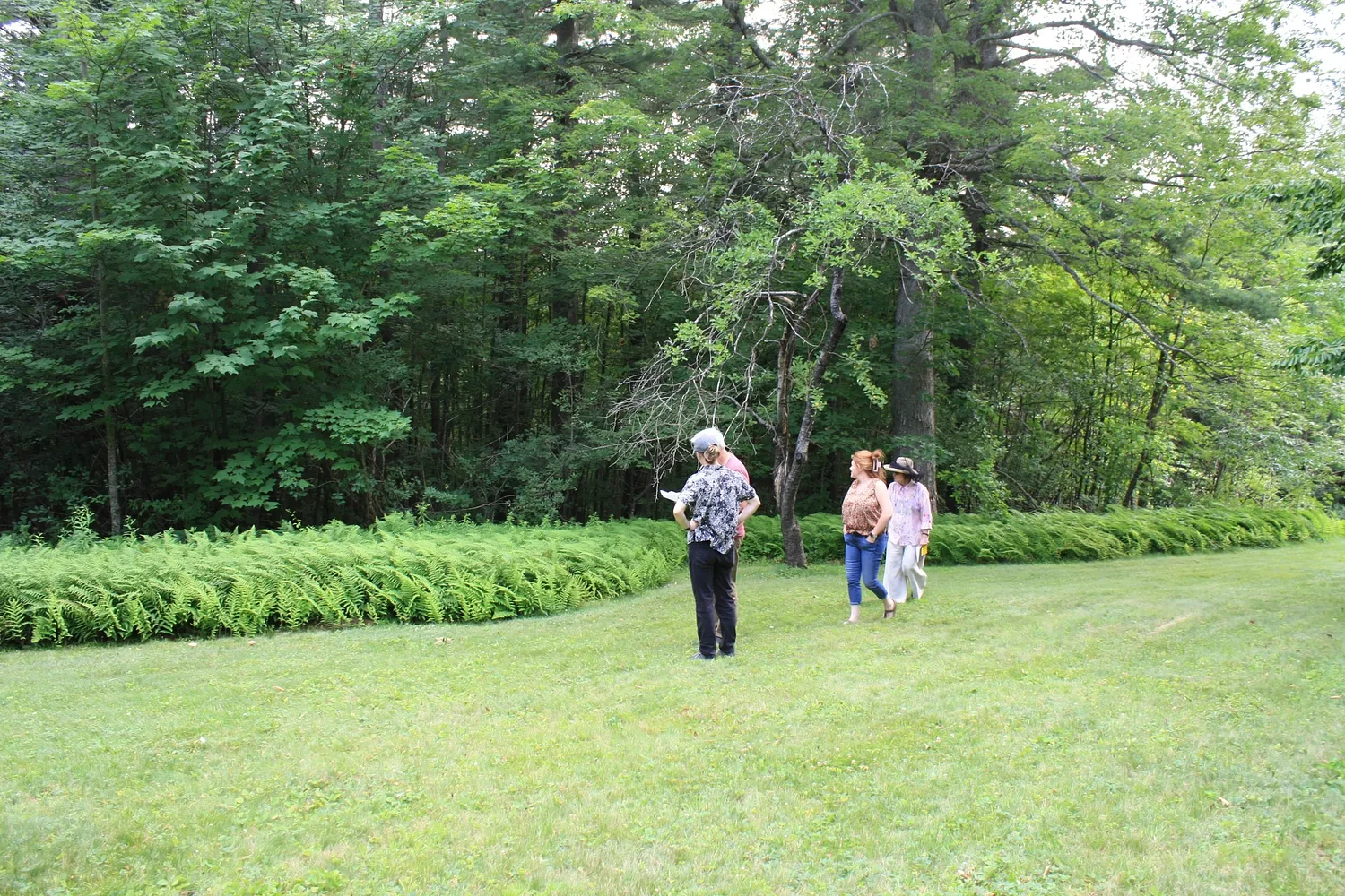 Public hearing set for July 16 regarding 12-acre subdivision proposal in Dublin
