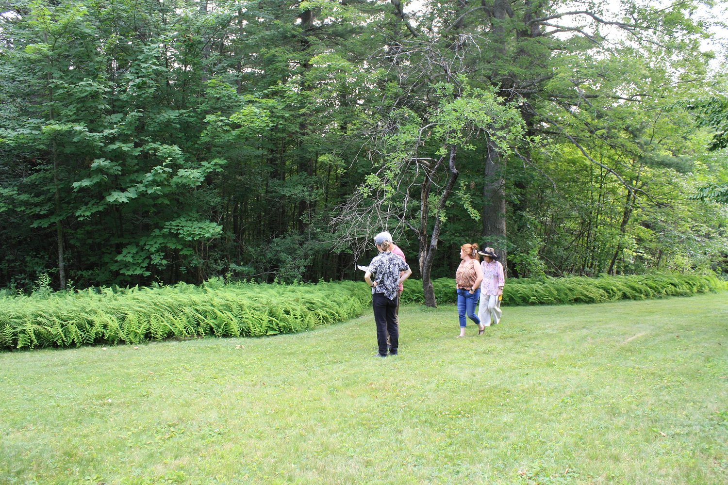 Public hearing set for July 16 regarding 12-acre subdivision proposal in Dublin