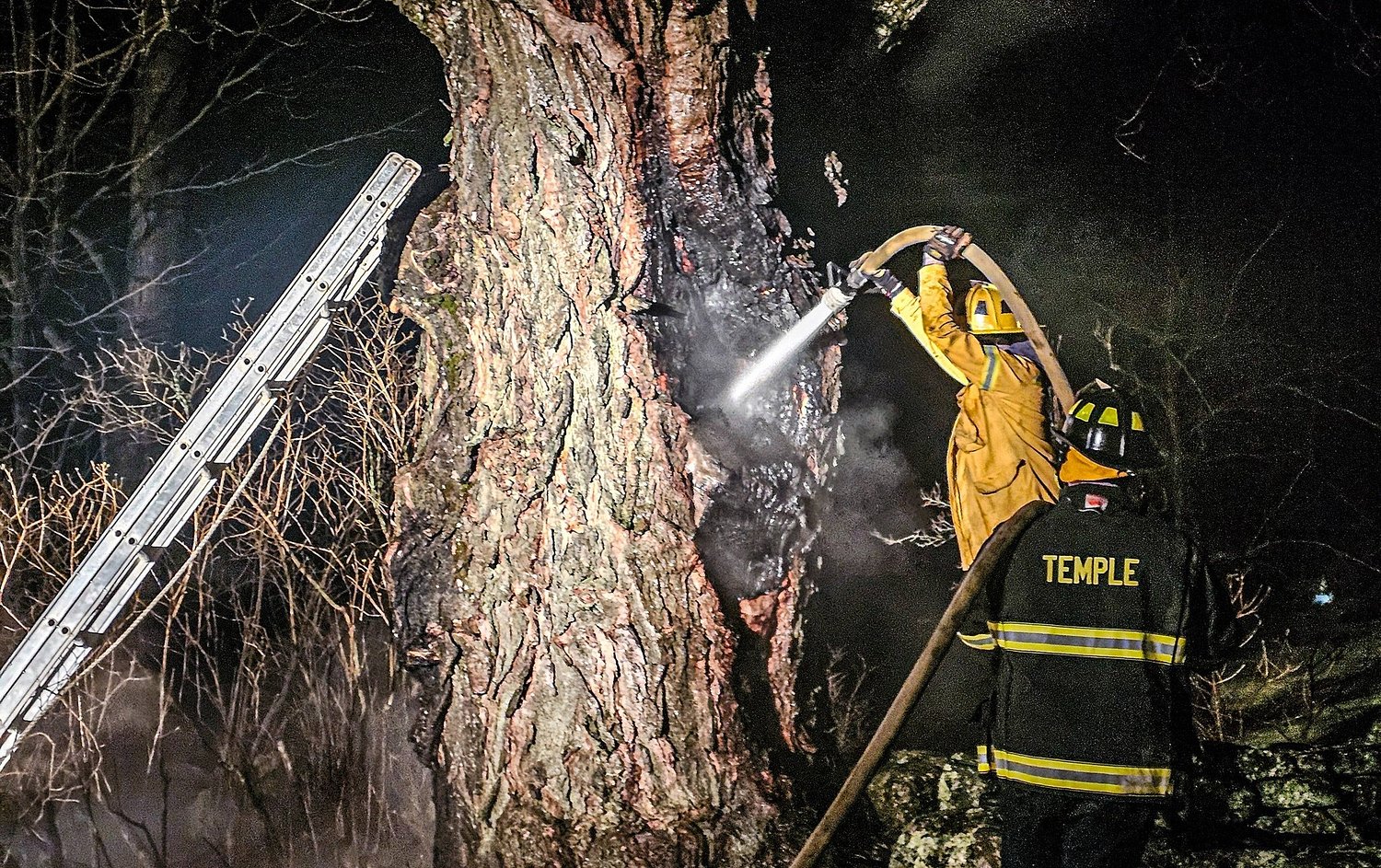 Brush fire embers spark tree blaze in Temple