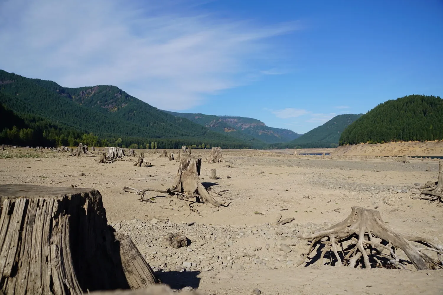 ‘One of the strongest El Niños,’ may mean wet fall and winter in Northwest, climatologists say