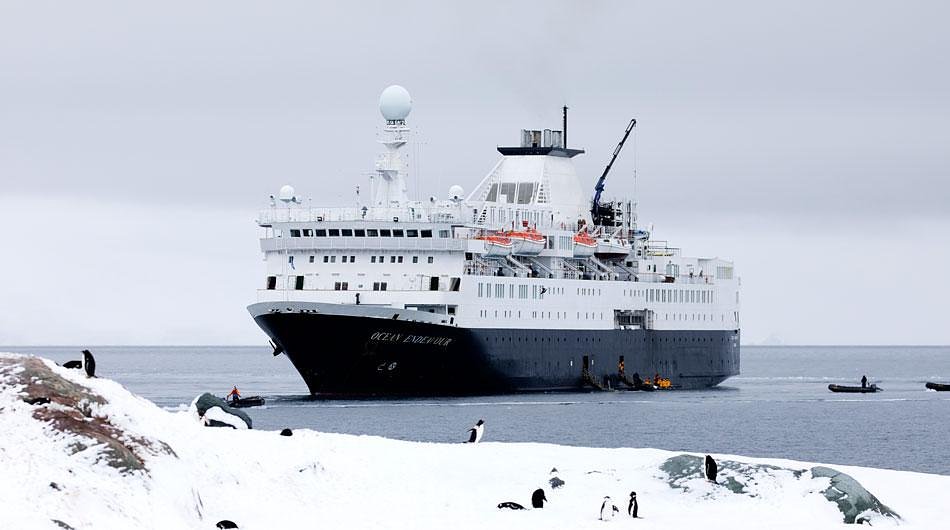 Goldring Travel is Heading to Antarctica Again on Ocean Endeavor – Part VI (More Details, Reflections, and Review.)