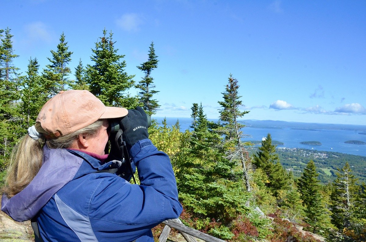 Acadia counts migrating hawks as researchers study climate change impact on raptors