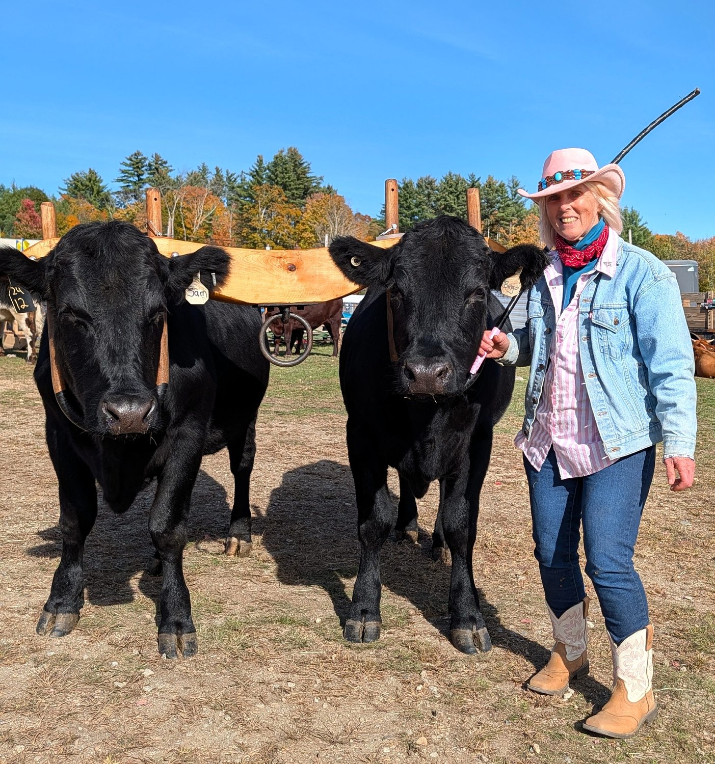 From the Farm: All about gee, haw and the now