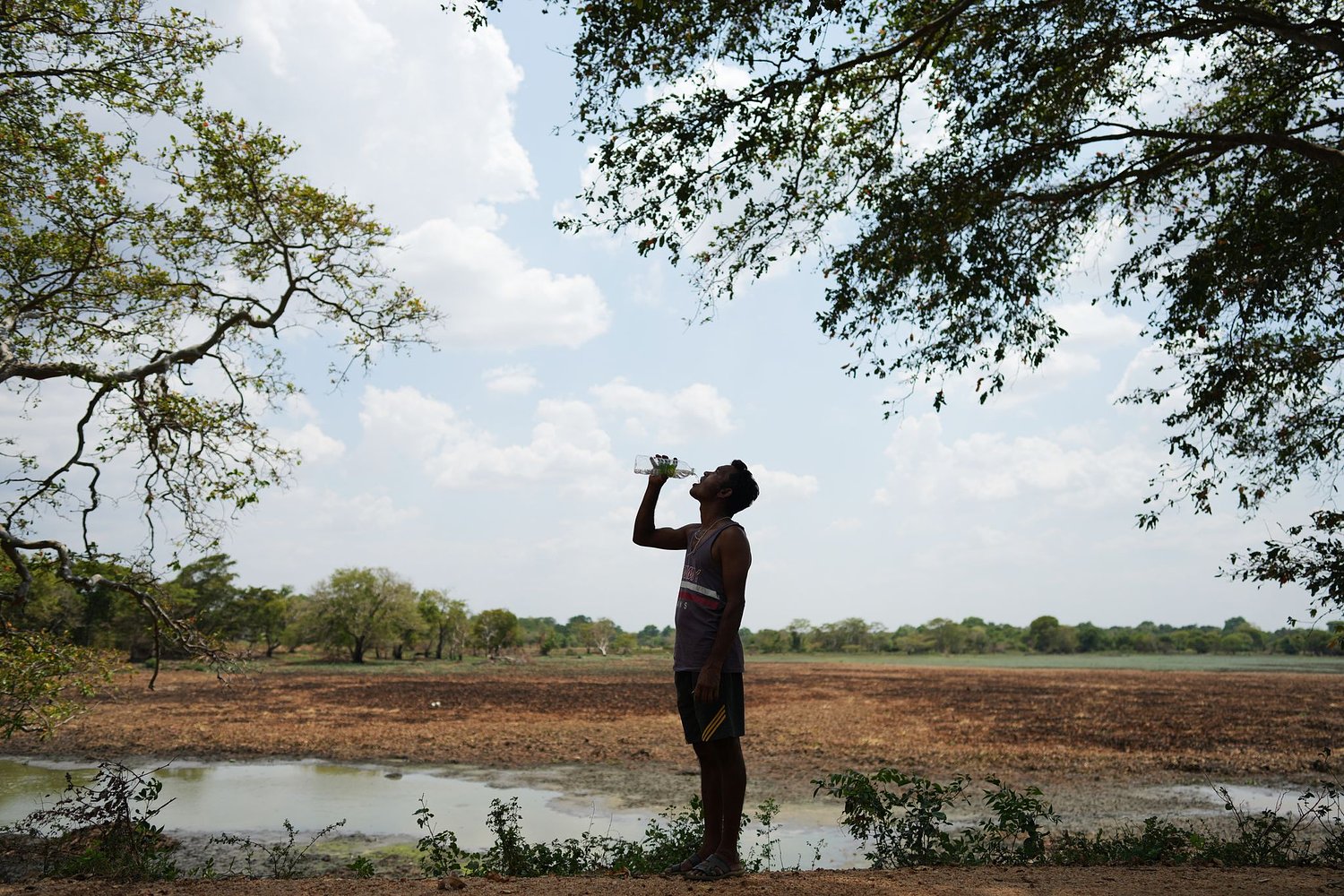 In drought-stricken Sri Lanka, farmers watch wells empty and wildlife crowd shrinking water holes