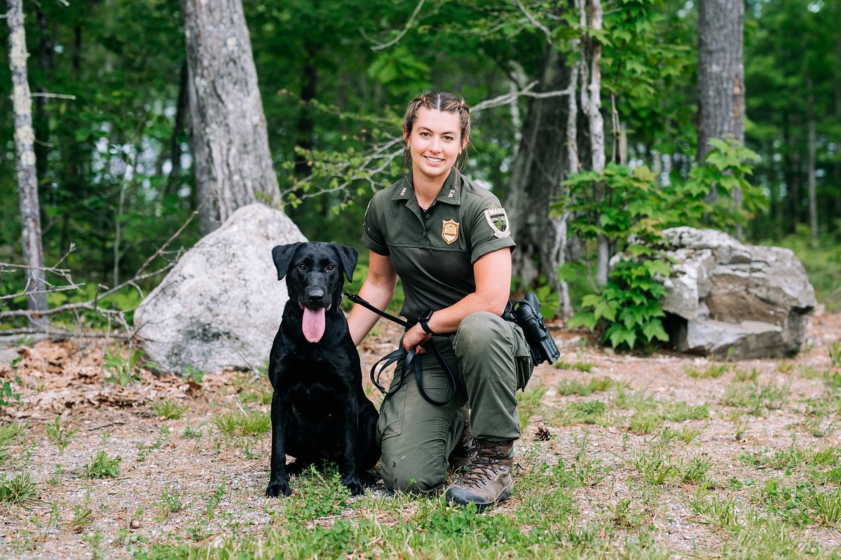Missing Montville man found safe by Warden Service dog