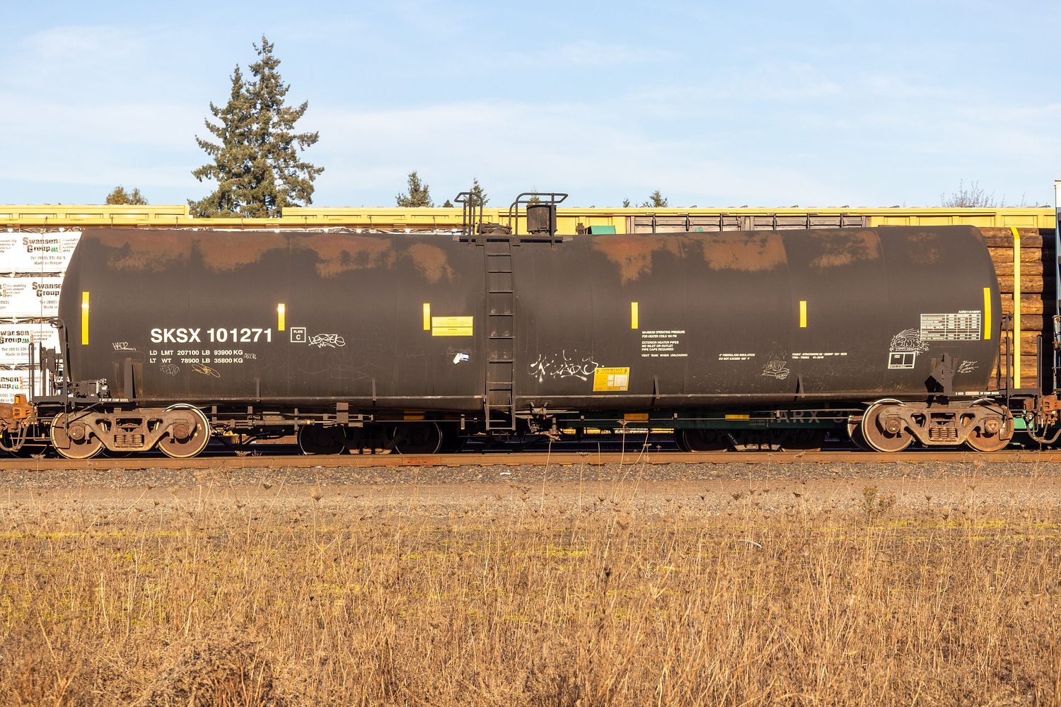 Person struck by train in Springfield