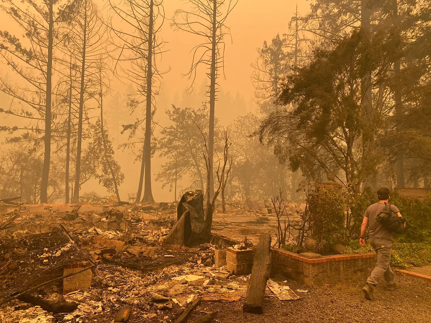 Wyden's wildfire tax relief bill unexpectedly passes before Congress recesses